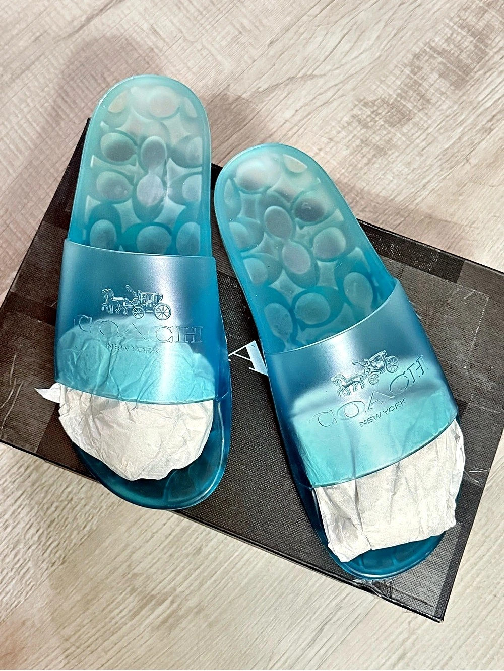Coach Ulyssa Rubber Jelly Slide Sandals Blue
